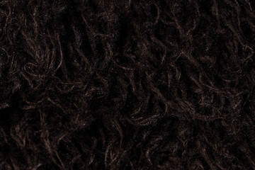 les poils noirs d'un tissu de laine