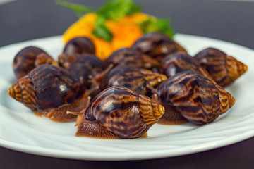 grape snails, akhatina, on a plate, as crude food, a rawism
