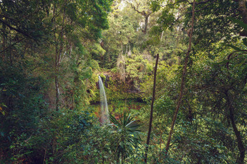 Waterfall in Le Domaine de Fontenay's private forest reserve, Amber mountain national park. Madagascar wilderness nature landscape.