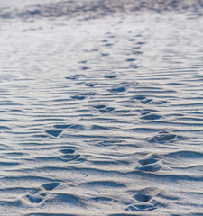 Footprints in the Sand