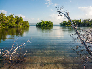Amazing mangroves at an idyllic travel destination Cayo Levissa Island at Cuba Island an amazing holidays on a wild environment with amazing landscapes like this mangroves trees over the sea water