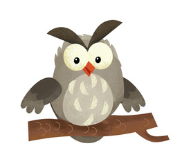 cartoon scene with owl animal on white background - illustration for children