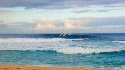 Obraz premium surfers catch waves during a morning session at pipeline