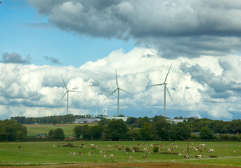 animal husbandry and clean energy sources.