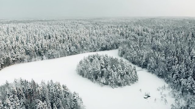 Aerial, orbit, drone shot, around a island, full of snow, covered trees, on Haukkalampi pond, surrounded by snowy, ice and winter forest, on a cloudy day, in Nuuksio national park, in Finland