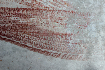 painted tire tracks
