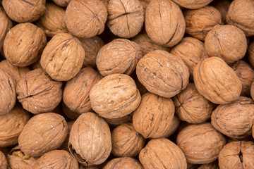 A scattering of walnuts