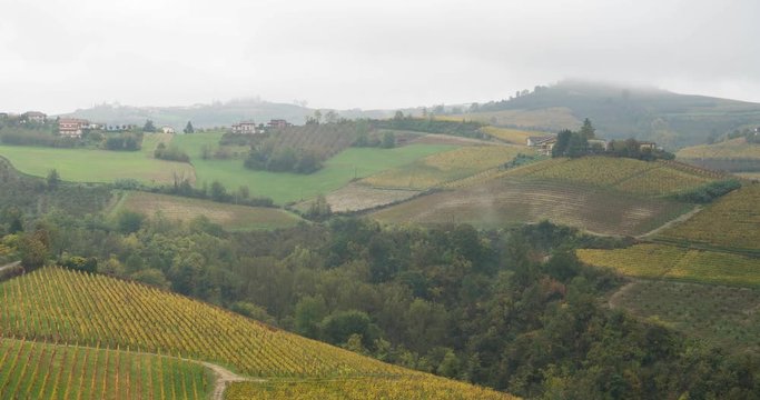 Hills of vineyards in autumn, piedmont tuscany region in Italy. Foggy day on yellow wine area. Hyper lapse time lapse video 4k. langhe monferrato 
