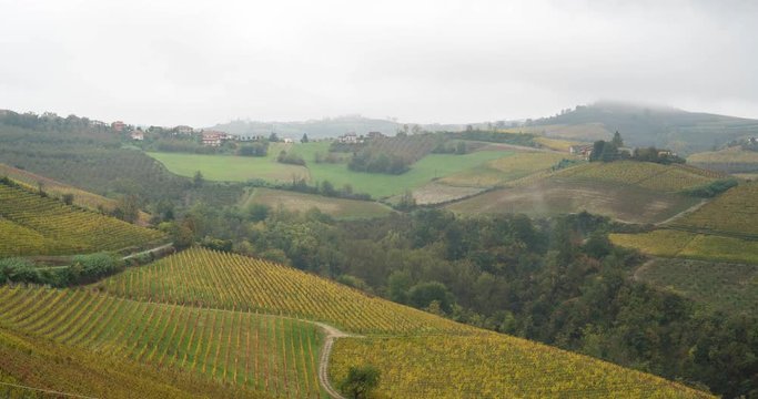 Hills of vineyards in autumn, piedmont tuscany region in Italy. Foggy day on yellow wine area. Hyper lapse time lapse video 4k. langhe monferrato 