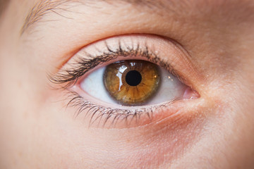 Obraz premium Closeup of child's eye, brown