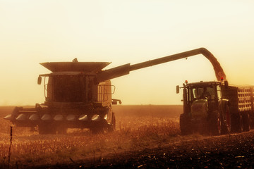 Harvesting in autumn