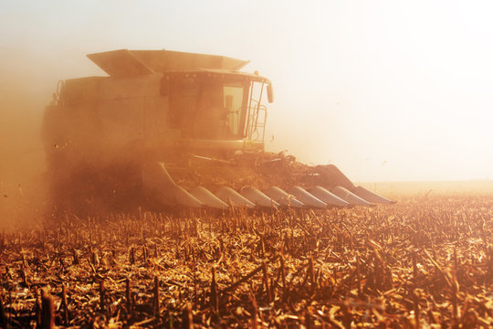 A photo of a field during harvest
