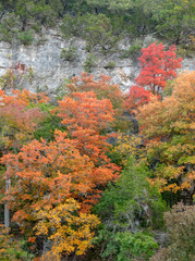 Lost Maples in Autumn