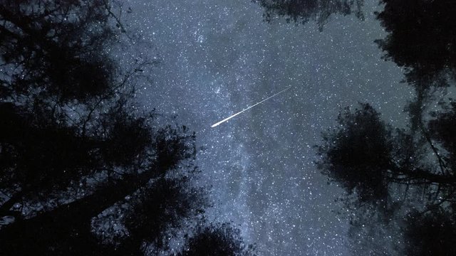 Falling star meteor in a forest at night.