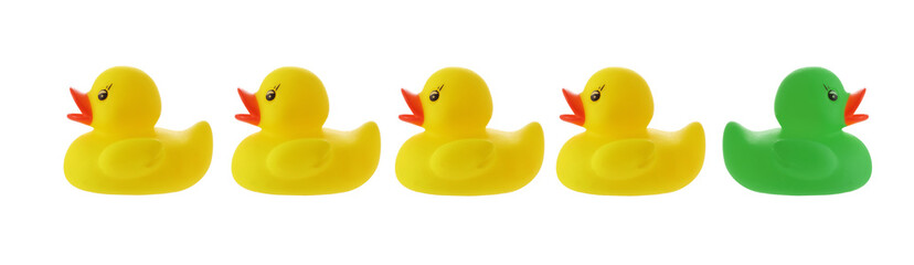 Ducks NOT in a row isolated on white with clipping path