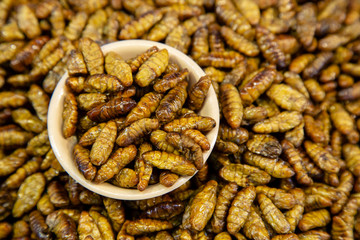 Thai Market Street Food Insects