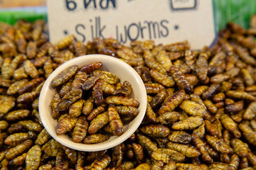 Thai Market Street Food Insects