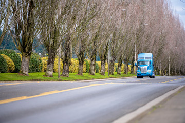 Blue big rig powerful semi truck tractor running on the road with trees alley on the side