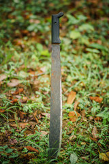 close-up view of machete nailed to the ground with bokeh effect