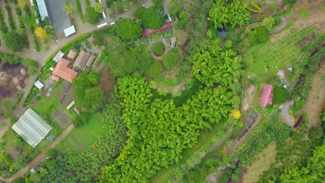 AERIAL: birds-eye view scan over the precious Panaca park in Quidio, Colombia, that's been surrounded by coffee plantations.