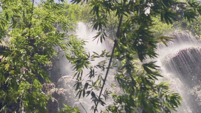 Green tropical plants on background flowing mountain waterfall in rainforest. Tropical waterfall in jungle and green plant. Water stream from rocky river flowing in tropical forest.