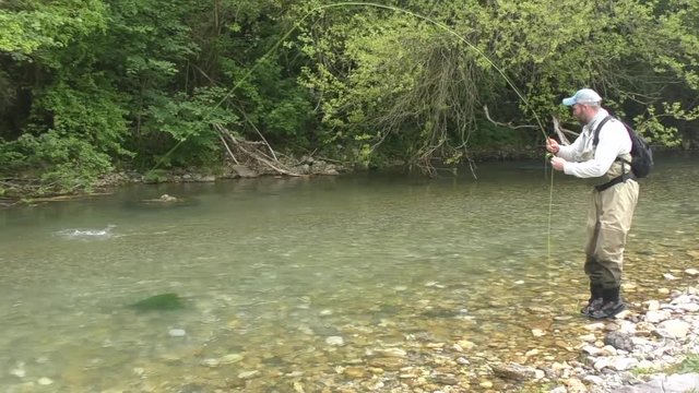 fisherman squats and draws rod with caught fish resisted on hook pulling trout to mountain river bank in summer