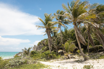 Palms and white sand on the Tulum beach, Mexico