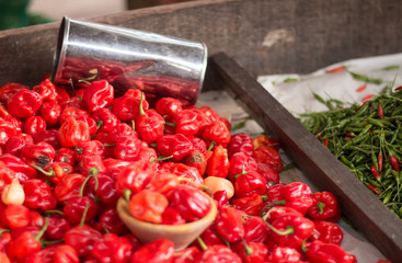 Close-up of Brazilian colorful peppers