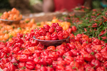 Close-up of Brazilian colorful peppers