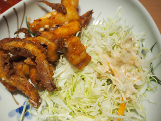 Delicious japanese food