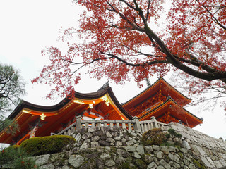 Fototapeta premium Kyoto, Japan autumn at Kiyomizu-dera Temple