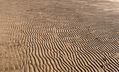 Patterns in the sand on a beach