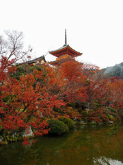 Kyoto, Japan autumn at Kiyomizu-dera Temple