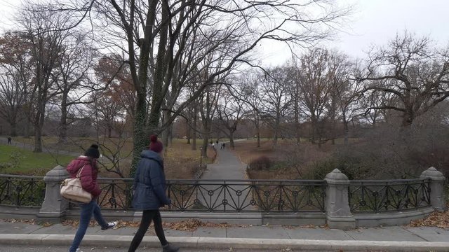 Relaxing walk through Central Park New York