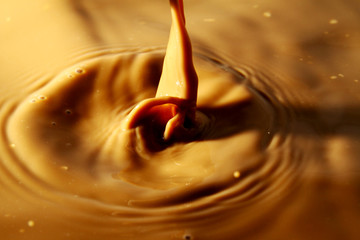 Coffee and milk background / Coffee beans, water, and milk. Put them together and you have the latte, the cappuccino, the flat white, the macchiato