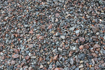 beach of small pebbles. this is ordinary pebbles
