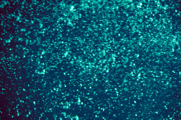 Fototapeta premium Fish and air bubbles in the aquarium. Abstract background. Tenerife. Canary Islands..Spain