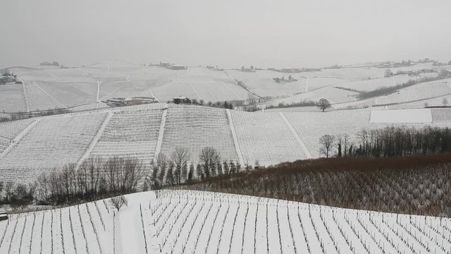 aerial video of Vineyard in winter time with snow