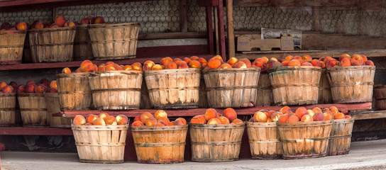 Utah Peaches