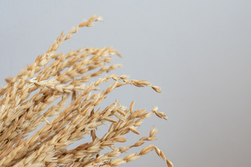 rice in basketry isolated on gray background. concept for traditional hand craft