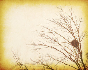 Vintage grunge textured landscape with silhouette of lone bare tree and bird nest