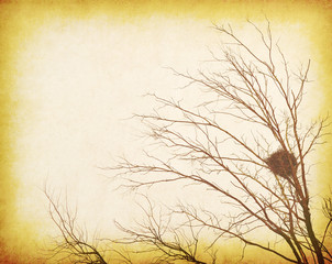 Obraz premium Vintage grunge textured landscape with silhouette of lone bare tree and bird nest