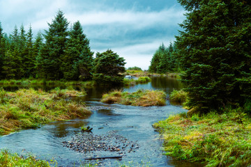 Obraz premium A stream flows through a lush green landscape in Juneau Alaska