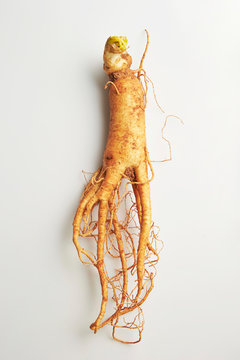 ginseng isolated on white background