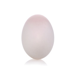 duck egg on white background.