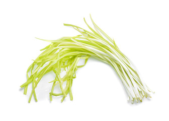garlic chives isoalted on white background