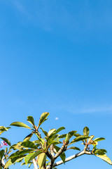 Blue bright tropical sky background. Sunny day. Bali island, Indonesia.
