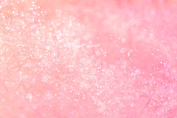 Blurred for​ background.The Pink grass that has dew in the morning during the winter.