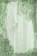Grunge wood texture

