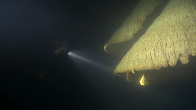 Diver examines unique bell speleothems